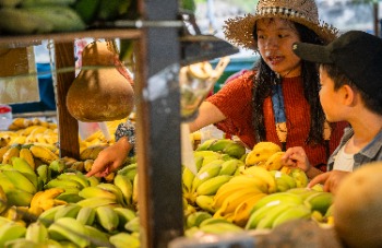 【田寮】惡地之果／把這座山的甜，帶回家